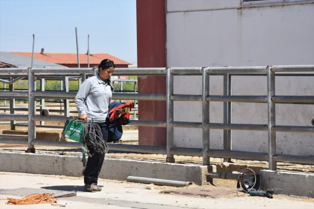 Kadın Kaynakçı Ustası Safiye Köse Azmiyle İlham Veriyor