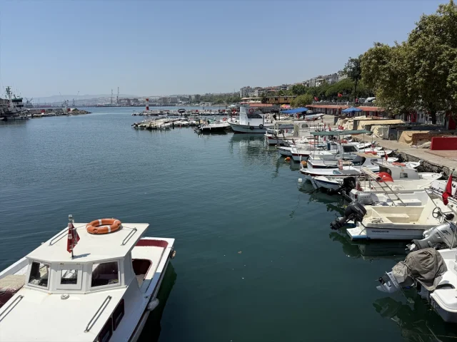 Tekirdağ Pazarı Taze İstavritlerle Renklendi