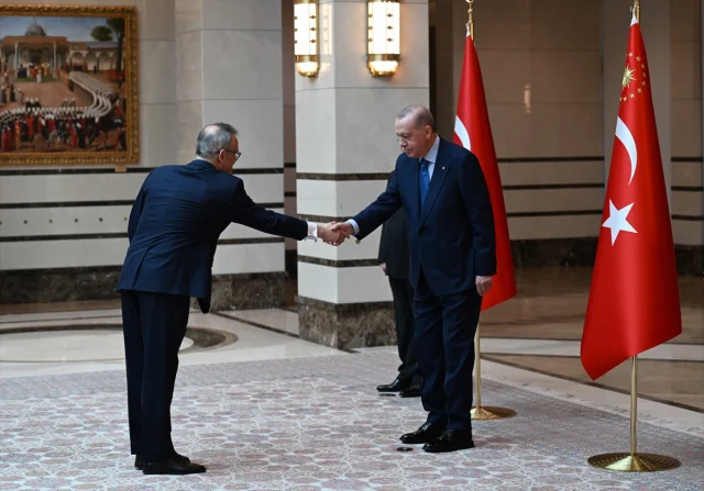 Cumhurbaşkanı Erdoğan'dan Diplomatik Temaslar