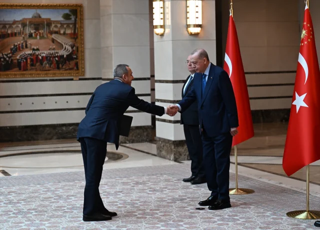Cumhurbaşkanı Erdoğan'dan Diplomatik Temaslar
