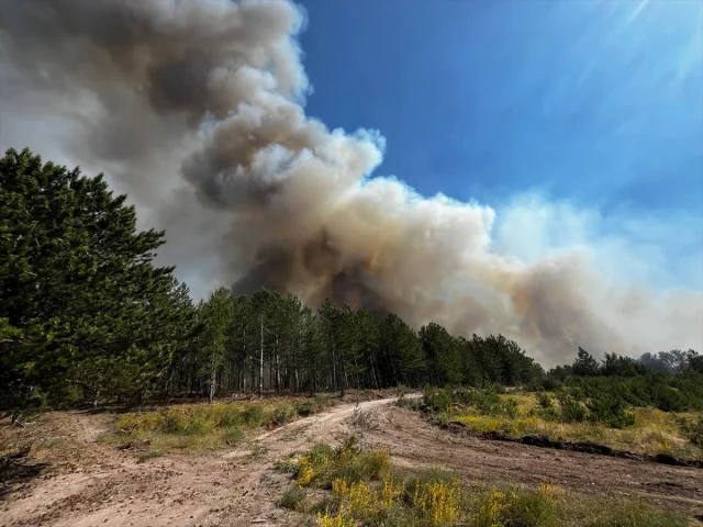 Balıkesir Sındırgı'daki Orman Yangınına Hızlı Müdahale