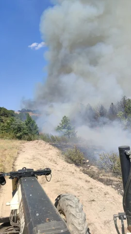 Balıkesir Sındırgı'daki Orman Yangınına Hızlı Müdahale