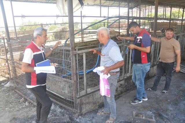 İzmir Ödemiş'te Yangından Kurtarılan Binlerce Hayvan Sahiplerine Kavuştu