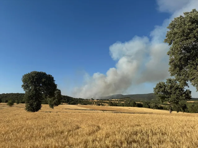 Uşak ve Manisa'da Orman Yangınları ile Mücadele Sürüyor