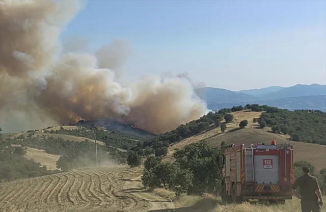 Uşak ve Manisa'da Orman Yangınları ile Mücadele Sürüyor