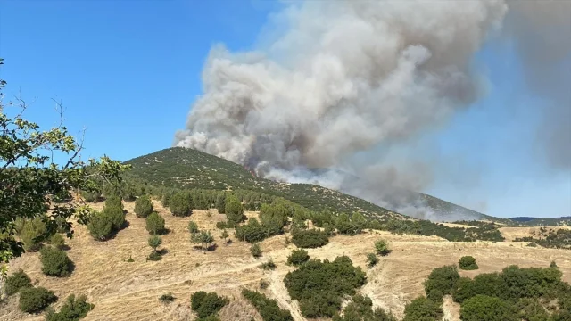 Uşak ve Manisa'da Orman Yangınları ile Mücadele Sürüyor