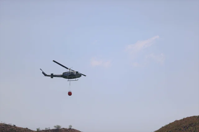 Suriye'de Orman Yangınları: Şüphelilere Gözaltı Süreci Başladı