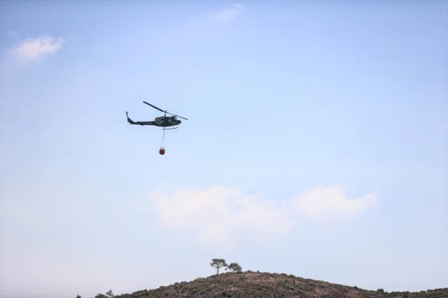 Suriye'de Orman Yangınları: Şüphelilere Gözaltı Süreci Başladı