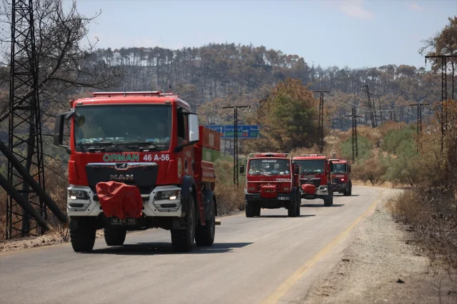Suriye'de Orman Yangınları: Şüphelilere Gözaltı Süreci Başladı