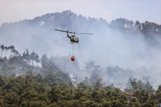 Suriye'de Orman Yangınları: Şüphelilere Gözaltı Süreci Başladı