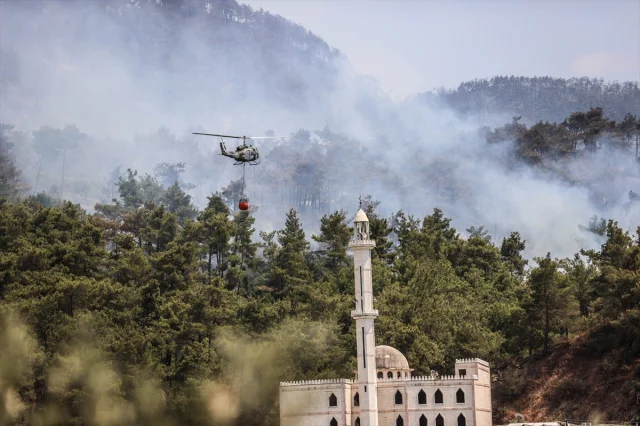Suriye'de Orman Yangınları: Şüphelilere Gözaltı Süreci Başladı