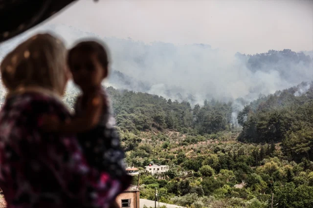 Suriye'de Orman Yangınları: Şüphelilere Gözaltı Süreci Başladı