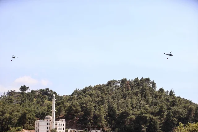 Suriye'de Orman Yangınları: Şüphelilere Gözaltı Süreci Başladı