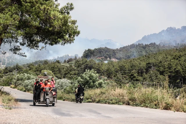 Suriye'de Orman Yangınları: Şüphelilere Gözaltı Süreci Başladı