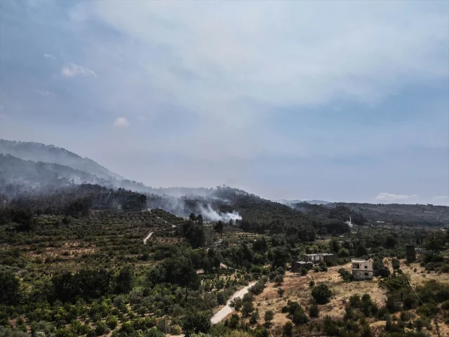 Suriye'de Orman Yangınları: Şüphelilere Gözaltı Süreci Başladı
