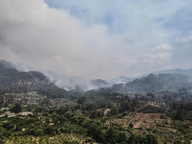 Suriye'de Orman Yangınları: Şüphelilere Gözaltı Süreci Başladı