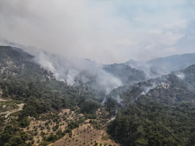 Suriye'de Orman Yangınları: Şüphelilere Gözaltı Süreci Başladı