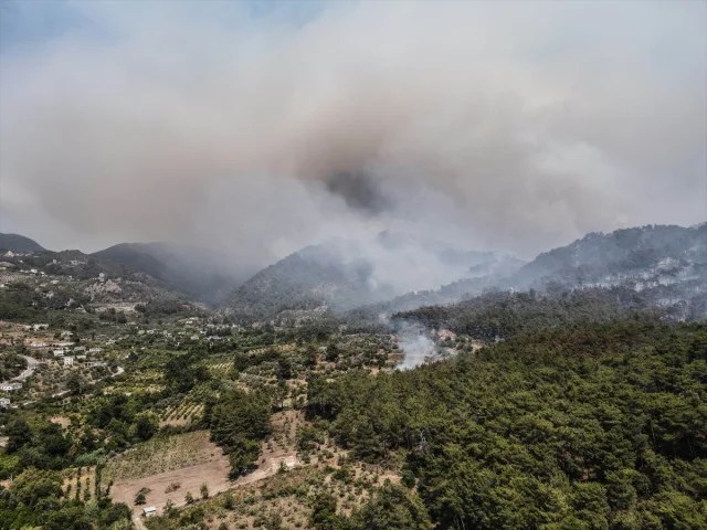 Suriye'de Orman Yangınları: Şüphelilere Gözaltı Süreci Başladı