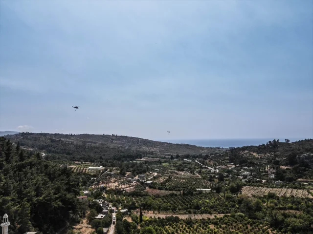 Suriye'de Orman Yangınları: Şüphelilere Gözaltı Süreci Başladı