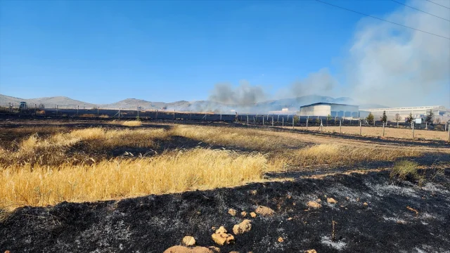 Kütahya'da Çıkan Yangın 800 Dekar Tarım Alanını Etkiledi
