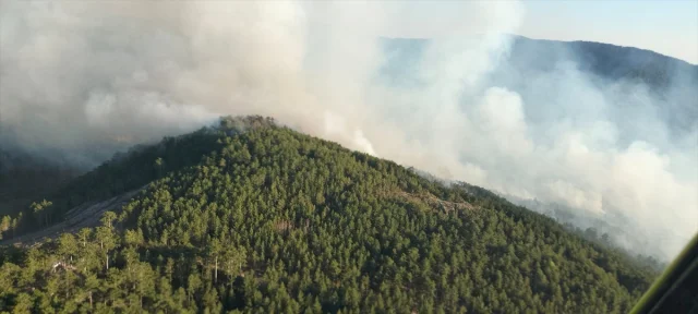 Balıkesir'deki Yangınla Mücadelede Ekipler Seferber Oldu
