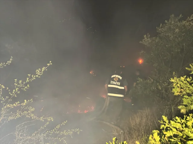 Ege'de Yangınlar Kontrol Altında: Köyler Tahliye Edildi