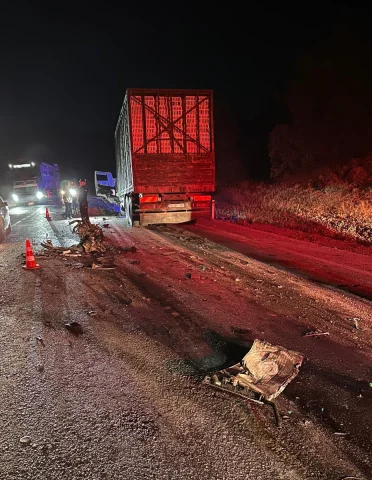 Bolu'da Hayatını Kaybeden Sürücü ve Hızla Artan Vahşi Yaşam Kazaları