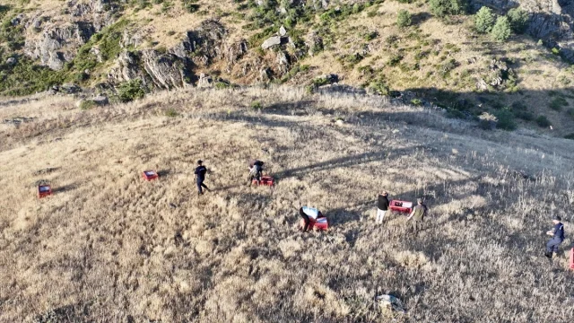 Kırşehir'de Kene Sorununa Karşı Doğaya 600 Keklik Salındı