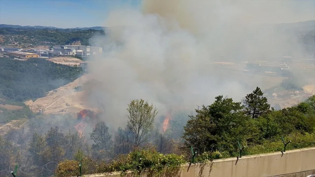 Zonguldak'ta Çıkan Çalılık Yangını Hızlı Müdahale ile Kontrol Altına Alındı