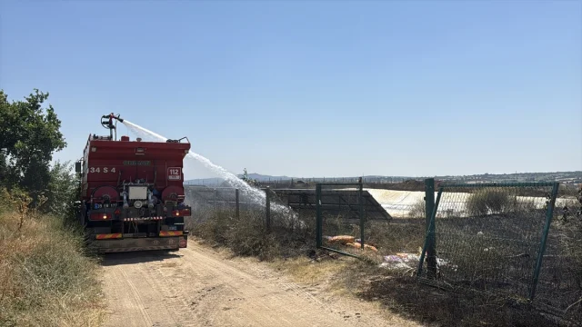 Kırklareli'nde Ceviz Bahçelerinde Büyük Yangın