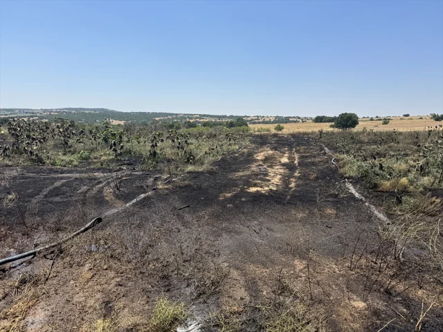 Kırklareli'nde Ceviz Bahçelerinde Büyük Yangın