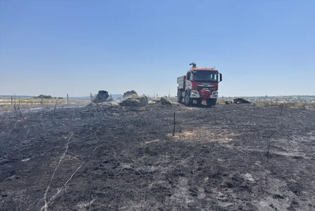 Kırklareli'nde Ceviz Bahçelerinde Büyük Yangın