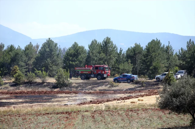 Kastamonu'da Tarım Alanındaki Yangın Ormana Yayılıyor