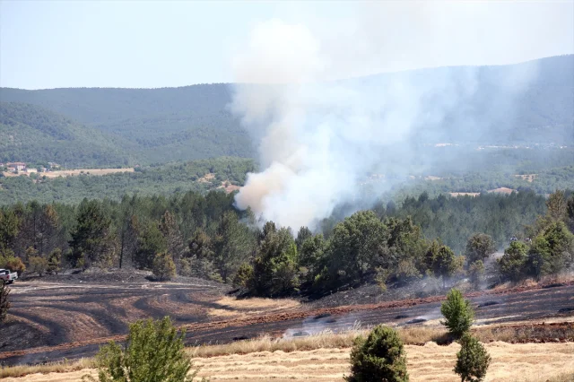 Kastamonu'da Tarım Alanındaki Yangın Ormana Yayılıyor