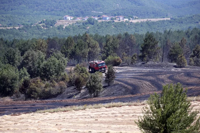 Kastamonu'da Tarım Alanındaki Yangın Ormana Yayılıyor