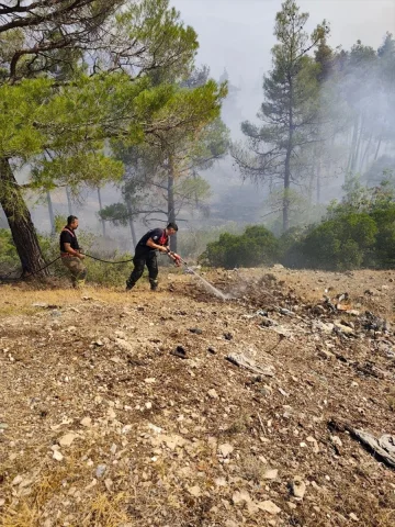 İHH'nın Suriye'deki Orman Yangınına Müdahalesi: Önemli Bir Destek