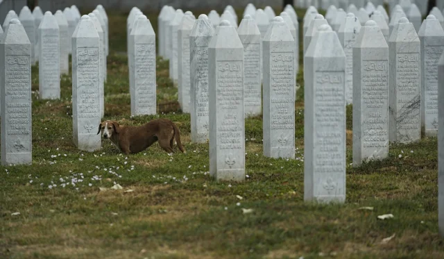 Srebrenitsa Soykırımı'nın 30. Yılında Anma Hazırlıkları Başladı