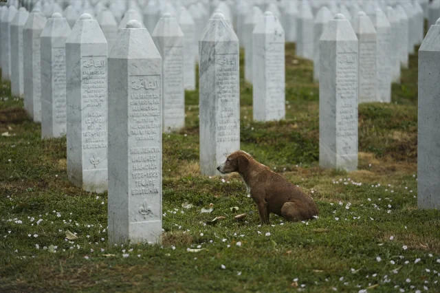 Srebrenitsa Soykırımı'nın 30. Yılında Anma Hazırlıkları Başladı