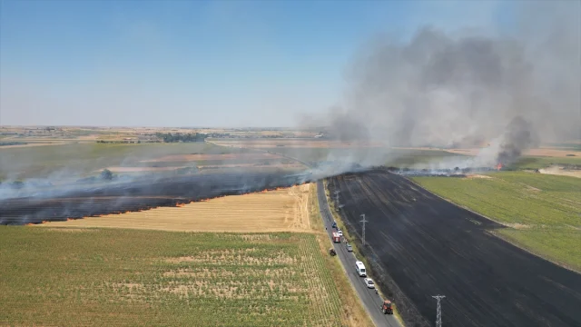 Tekirdağ'daki Büyük Tarla Yangını Kontrol Altına Alındı