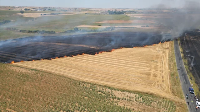 Tekirdağ'daki Büyük Tarla Yangını Kontrol Altına Alındı
