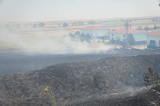 Tekirdağ'daki Büyük Tarla Yangını Kontrol Altına Alındı