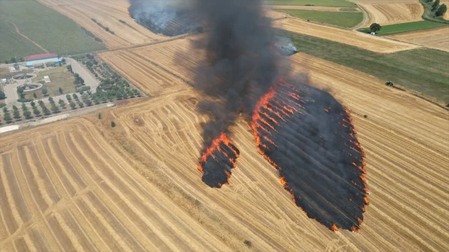 Tekirdağ'daki Büyük Tarla Yangını Kontrol Altına Alındı