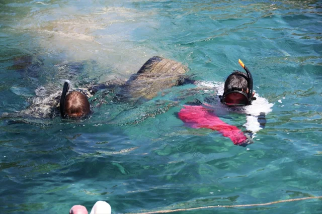 Bodrum'da Gönüllü Dalgıçlar Deniz Dibini Temizledi
