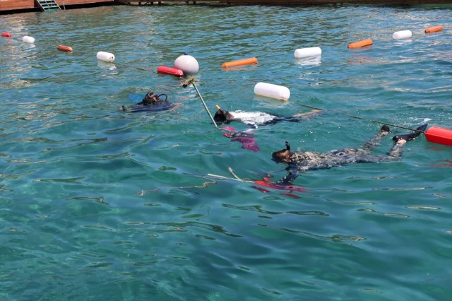 Bodrum'da Gönüllü Dalgıçlar Deniz Dibini Temizledi