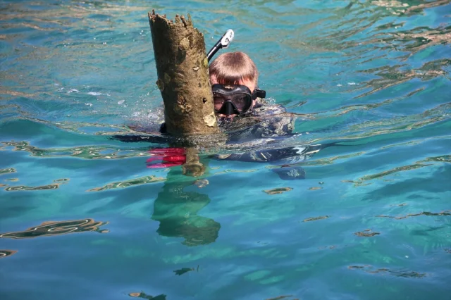 Bodrum'da Gönüllü Dalgıçlar Deniz Dibini Temizledi