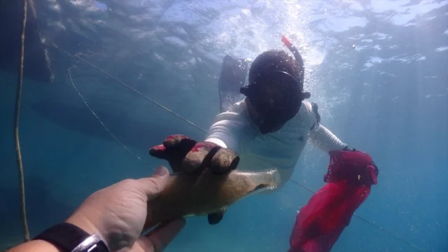 Bodrum'da Gönüllü Dalgıçlar Deniz Dibini Temizledi