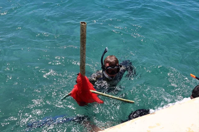Bodrum'da Gönüllü Dalgıçlar Deniz Dibini Temizledi