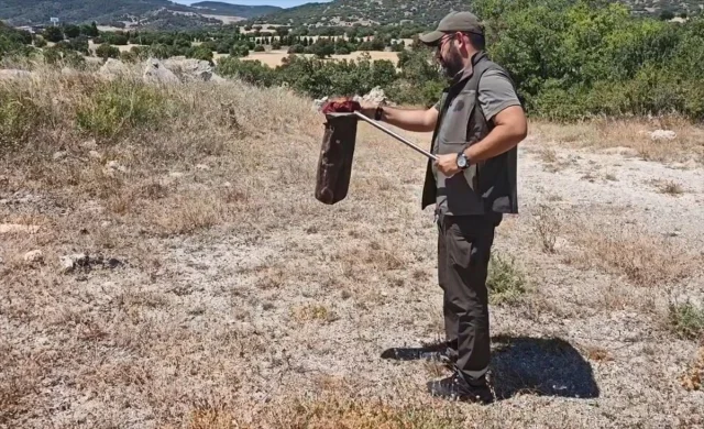 Kütahya’da Lokantada Yılan Paniği: Ekiplere Alkış