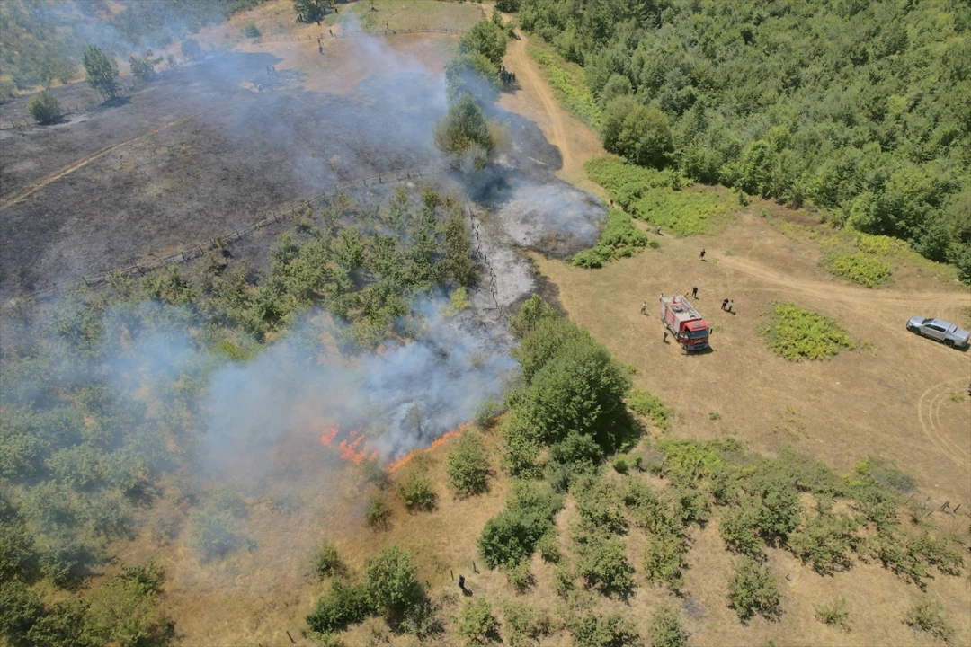 Düzce Yığılca'daki Yangın Kısa Sürede Kontrol Altına Alındı