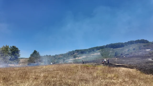 Düzce Yığılca'daki Yangın Kısa Sürede Kontrol Altına Alındı